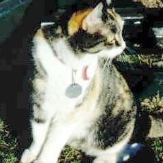 Katy